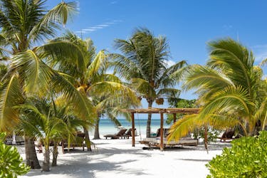 Holbox Island boat and buggy tour from Chiquila